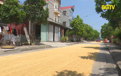 Phơi th&oacute;c tr&ecirc;n đường g&acirc;y cản trở giao th&ocirc;ng 