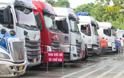 Ph&ograve;ng, chống dịch cho tr&aacute;i c&acirc;y tươi xuất khẩu