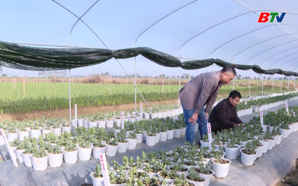 Đưa khoa học kỹ thuật v&agrave;o ph&aacute;t triển sản xuất ở c&aacute;c x&atilde; n&ocirc;ng th&ocirc;n mới