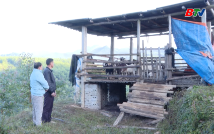 Ph&oacute;ng sự: Những m&ocirc; h&igrave;nh chăn nu&ocirc;i giảm ngh&egrave;o bền vững ở Dương Hưu