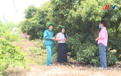 Vai tr&ograve; của m&atilde; v&ugrave;ng trồng để xuất khẩu vải thiều