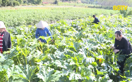 Phong tr&agrave;o thi đua trong v&ugrave;ng đồng b&agrave;o d&acirc;n tộc thiểu số v&agrave; miền n&uacute;i