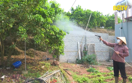 Ph&ograve;ng trừ s&acirc;u bệnh tr&ecirc;n c&acirc;y ăn quả
