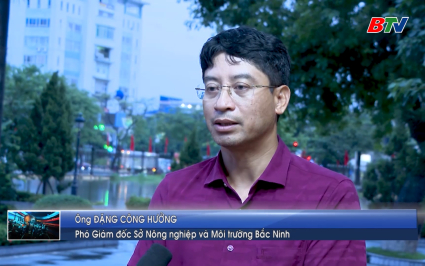 Phỏng vấn l&atilde;nh đạo Sở N&ocirc;ng nghiệp v&agrave; M&ocirc;i trường tỉnh về thực trạng v&agrave; ứng ph&oacute; mưa lũ