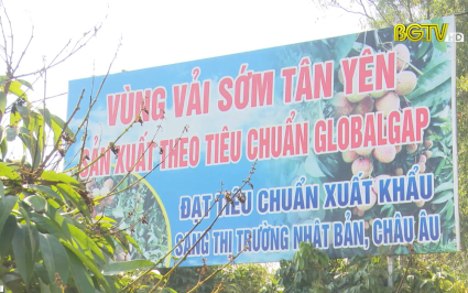 Quản l&yacute; m&atilde; số v&ugrave;ng trồng v&agrave; cơ sở đ&oacute;ng g&oacute;i n&ocirc;ng sản phục vụ xuất khẩu