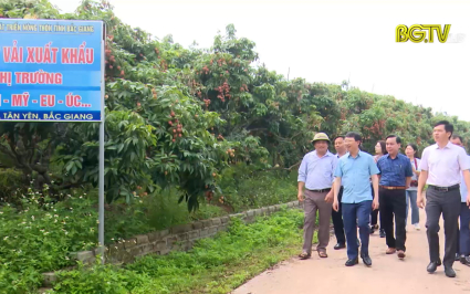 Quảng b&aacute; thương hiệu để n&acirc;ng cao gi&aacute; trị n&ocirc;ng sản