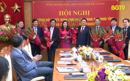 Ra mắt BCH Đảng bộ HĐND tỉnh v&agrave; c&aacute;c chi bộ trực thuộc 