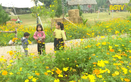 Rộn r&agrave;ng kh&ocirc;ng kh&iacute; đ&oacute;n Tết Dương lịch 