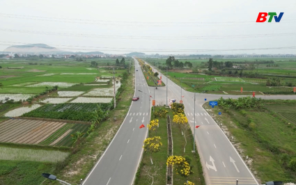 Rực rỡ đường hoa Chu&ocirc;ng v&agrave;ng ở V&acirc;n H&agrave; 