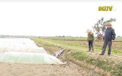 Sản xuất n&ocirc;ng nghiệp trong những ng&agrave;y đầu năm mới