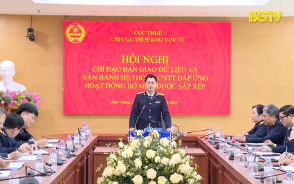 Sắp xếp, tinh gọn bộ m&aacute;y n&acirc;ng cao năng lực hiệu quả phục vụ người nộp thuế