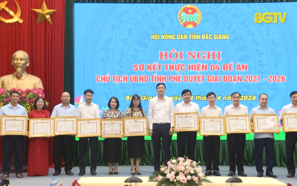 Sơ kết 4 đề &aacute;n Chủ tịch UBND tỉnh ph&ecirc; duyệt