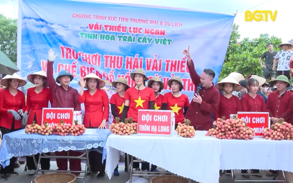S&ocirc;i nổi cuộc thi thu h&aacute;i v&agrave; chế biến vải thiều Lục Ngạn 