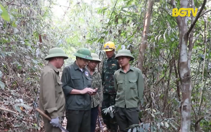 Sơn Động chủ động ứng ph&oacute; ch&aacute;y rừng