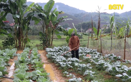 Sơn Động: Cụ b&agrave; 84 tuổi l&agrave;m đơn xin ra khỏi hộ ngh&egrave;o 
