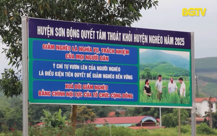 Sơn Động: Giảm ngh&egrave;o ng&agrave;y c&agrave;ng đi v&agrave;o thực chất 