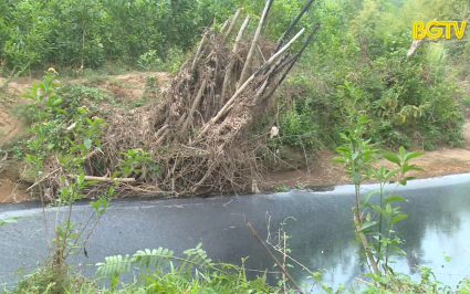 Sơn Động: Chỉ đạo xử l&yacute; cơ sử chăn nu&ocirc;i g&acirc;y &ocirc; nhiễm m&ocirc;i trường