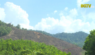 Sơn Động: Ph&aacute; rừng, 3 c&aacute; nh&acirc;n bị xử phạt