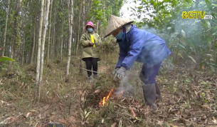 Sơn Động: Ph&ograve;ng chống ch&aacute;y rừng m&ugrave;a hanh kh&ocirc;