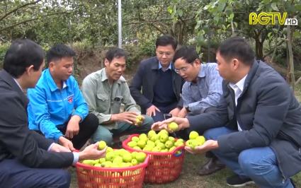 Sơn Động: Trao giấy chứng nhận Vietgap cho sản phẩm t&aacute;o Đại Sơn 