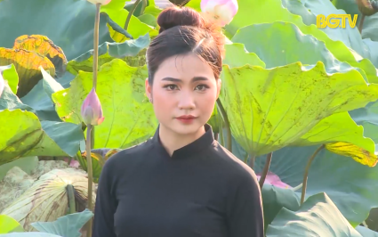 Sức h&uacute;t từ c&aacute;c đầm sen v&agrave;o hạ 