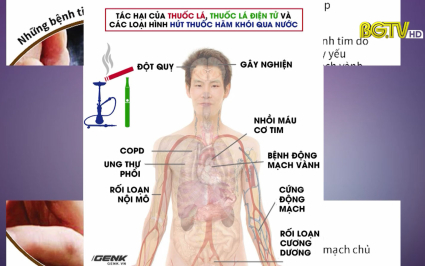 T&aacute;c hại của thuốc l&aacute; với hệ tim mạch