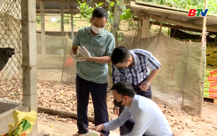 T&aacute;i đ&agrave;n an to&agrave;n, đảm bảo nguồn cung thực phẩm cuối năm