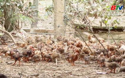 T&aacute;i đ&agrave;n an to&agrave;n sau mưa, lũ