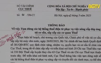 Tạm dừng hệ thống thuế điện tử đến ng&agrave;y 1/7
