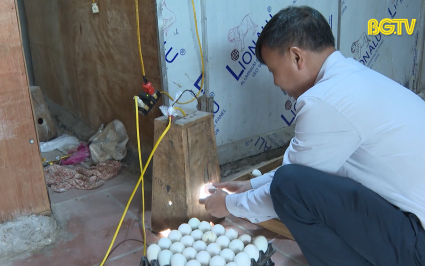 Tấm gương n&ocirc;ng d&acirc;n l&agrave;m theo lời B&aacute;c