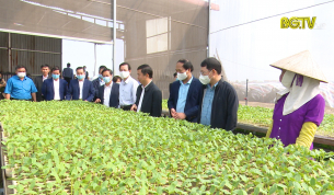 T&acirc;n Y&ecirc;n cần quy hoạch khu c&ocirc;ng nghiệp, n&ocirc;ng nghiệp c&ocirc;ng nghệ cao