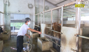 T&acirc;n Y&ecirc;n chủ động ph&ograve;ng chống nắng n&oacute;ng cho đ&agrave;n vật nu&ocirc;i