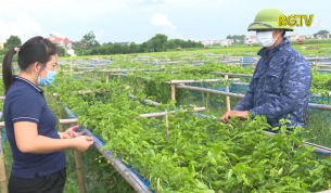 T&acirc;n Y&ecirc;n: Đa dạng h&oacute;a c&aacute;c m&ocirc; h&igrave;nh c&acirc;y trồng thử nghiệm 