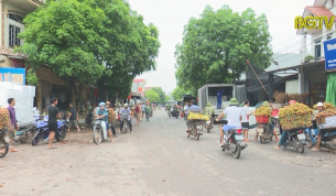 T&acirc;n Y&ecirc;n: Đảm bảo ATGT, ANTT ti&ecirc;u thụ vải sớm