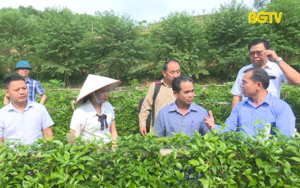 T&acirc;n Y&ecirc;n hỗ trợ m&ocirc; h&igrave;nh ph&aacute;t triển kinh tế