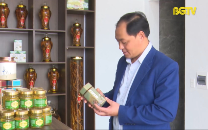 T&acirc;n Y&ecirc;n hỗ trợ ph&aacute;t triển s&acirc;m Nam n&uacute;i D&agrave;nh 