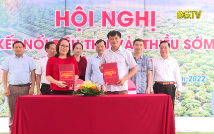 T&acirc;n Y&ecirc;n kết nối cung cầu ti&ecirc;u thụ vải sớm