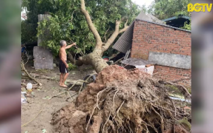 T&acirc;n Y&ecirc;n nhanh ch&oacute;ng khắc phục hậu quả b&atilde;o số 3
