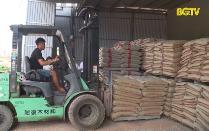 T&acirc;n Y&ecirc;n nỗ lực thu vượt dự to&aacute;n ng&acirc;n s&aacute;ch Nh&agrave; nước