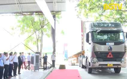 T&acirc;n Y&ecirc;n xuất h&agrave;nh ti&ecirc;u thụ vải thiều ch&iacute;n sớm