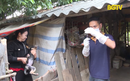 Tăng cường c&aacute;c biện ph&aacute;p ph&ograve;ng, chống bệnh dại tr&ecirc;n người 