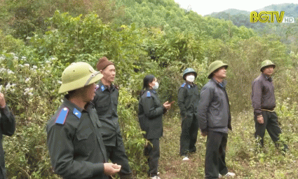Tăng cường c&ocirc;ng t&aacute;c bảo vệ rừng ph&ograve;ng hộ ở Lục Ngạn 