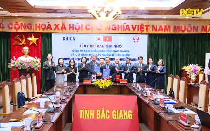 Tăng cường hợp t&aacute;c dự &aacute;n đ&agrave;o tạo nghề