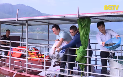 Tăng cường l&agrave;m gi&agrave;u nguồn lợi thủy sản 