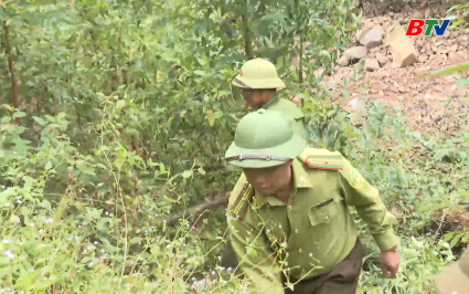 Tăng cường ph&ograve;ng ch&aacute;y, chữa ch&aacute;y rừng m&ugrave;a hanh kh&ocirc; 