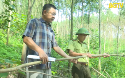 Tăng cường ph&ograve;ng ch&aacute;y, chữa ch&aacute;y rừng m&ugrave;a kh&ocirc;