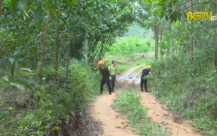 Tăng cường ph&ograve;ng, chống ch&aacute;y rừng