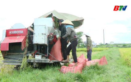 Tăng sản lượng l&uacute;a để b&ugrave; đắp gi&aacute; trị tăng trưởng