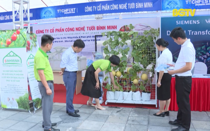 Tăng t&iacute;nh li&ecirc;n kết, x&acirc;y dựng hệ sinh th&aacute;i khởi nghiệp