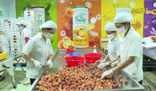 Tăng tốc chế biến vải thiều